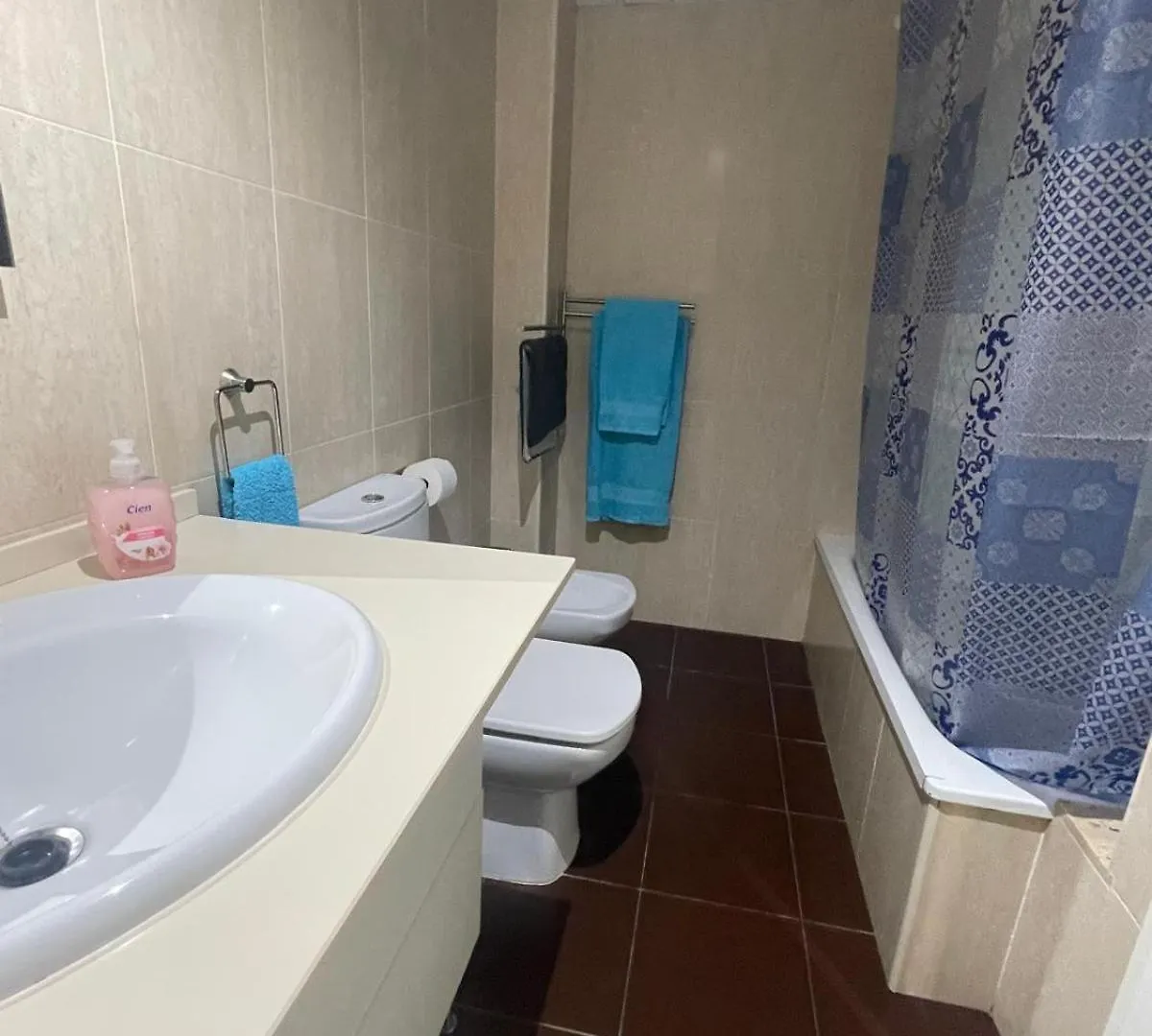 L'Apartament De Carol Deltebre 0*,